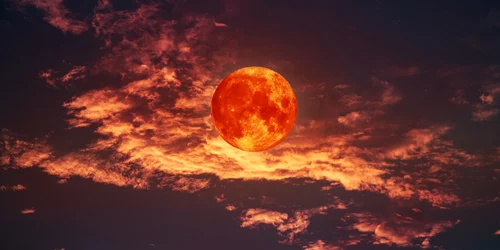 Luna sangerie horoscop shutterstock 2162086307 jpg