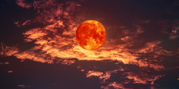 Luna sangerie horoscop shutterstock 2162086307 jpg