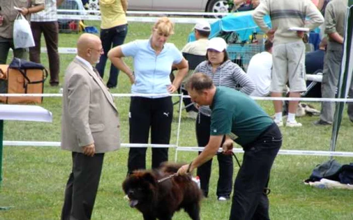 Oradea: EXPO CANIS 2009, un succes (GALERIE FOTO)