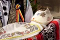 colind vasilca sarbatori png