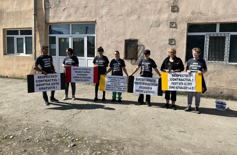 Dosar penal la adăpostul canin de la Târgu Jiu. Pui morți, de Ziua Animalelor fără Stăpân VIDEO