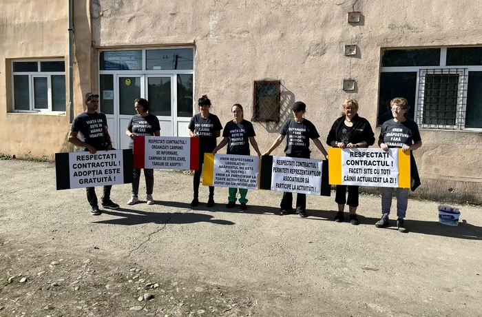 Câțiva voluntari și reprezentanți ai „Pro Animals“ au tras un semnal de alarmă Foto: Pro Animals