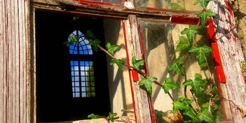 Fereastra in fereastra
