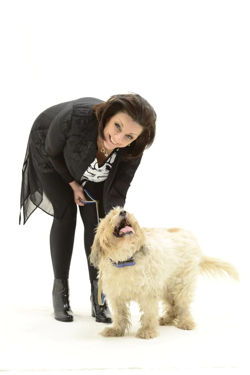 Actrița Carmen Tănase a vrut inițial să găsească un stăpân pentru Moshu, dar nu s-a mai putut dezlipi de cățel și l-a adoptat chiar ea