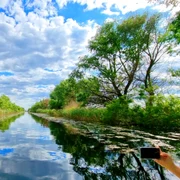 Delta Dunării Rusalii Asociaţia de Management al Destinaţiei Turistice Delta Dunării