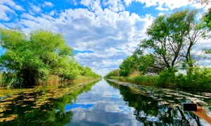 Delta Dunării Rusalii Asociaţia de Management al Destinaţiei Turistice Delta Dunării