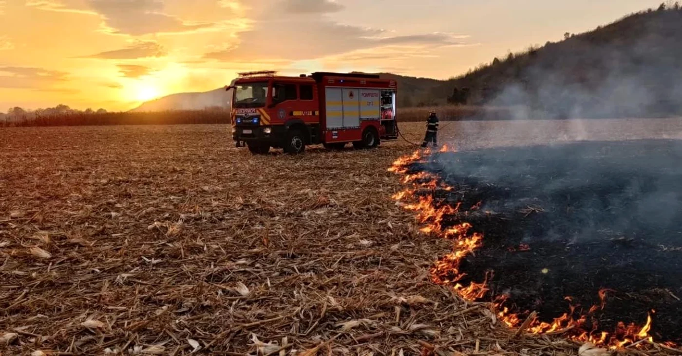 Incendiții de vegetație, în mai multe zone ale țării Foto: FB ISU