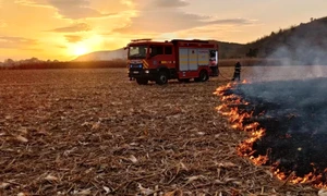 incendiu vegetatie jpg