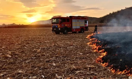 incendiu vegetatie jpg