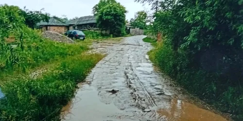 strada sat bacau jpg