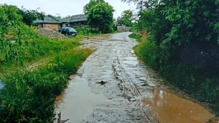 Strada Grădinarilor, comuna cleja FOTO: Ziarul de Bacău