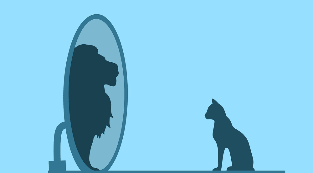 Ele sunt zodiile cele mai îngâmfate. Cu un ego cât casa, e greu să le intri în grații