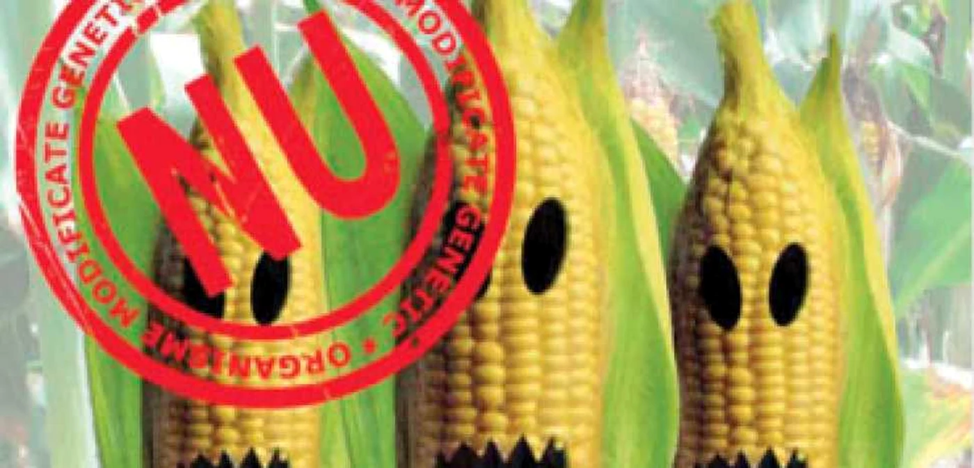 Organisme modificate genetic scose  din restaurante