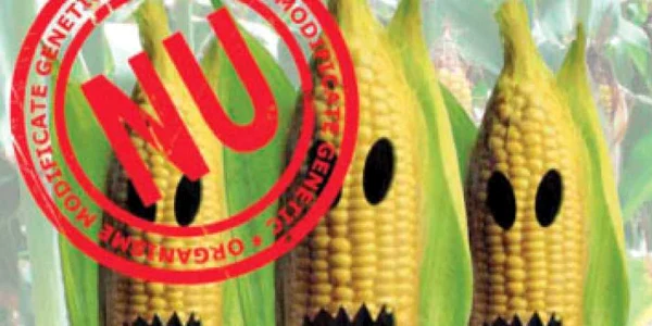 Organisme modificate genetic scose  din restaurante