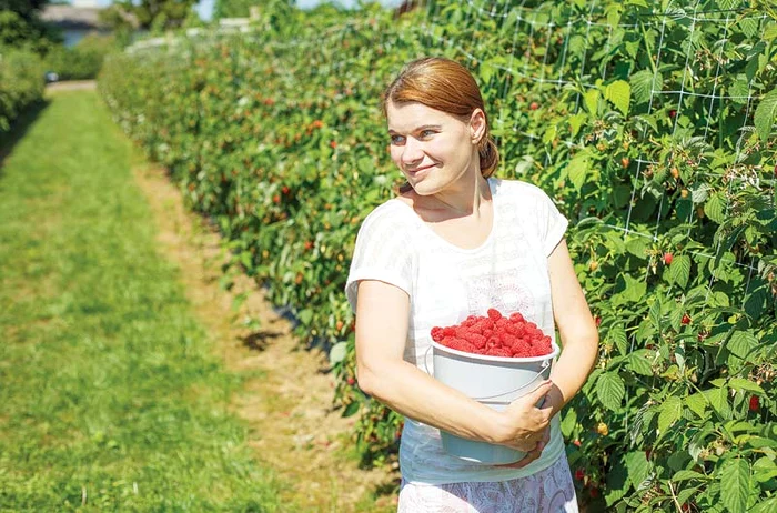 
    Angajatorii străini caută români prin EURES  