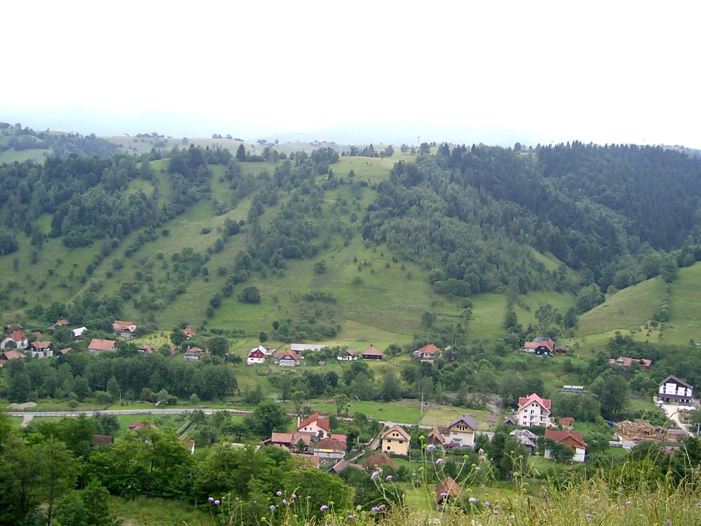 Păşune în judeţul Iaşi