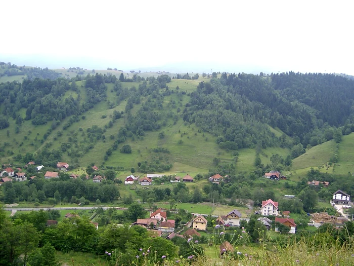 Păşune în judeţul Iaşi