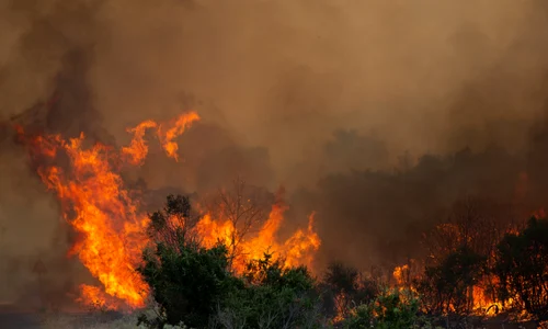 Incendii in Grecia FOTO Profimedia (3) jpg