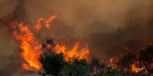 Incendii in Grecia FOTO Profimedia (3) jpg