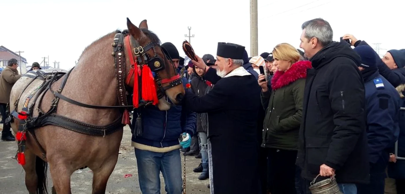 Botezul cailor la Slătioara Olt Foto Arhiva Adevărul