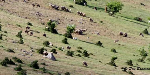 Dobrogea mai puţin ştiută - Balabancea din Tulcea Sursa Facebook Dan Bandacu