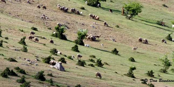 Dobrogea mai puţin ştiută - Balabancea din Tulcea Sursa Facebook Dan Bandacu