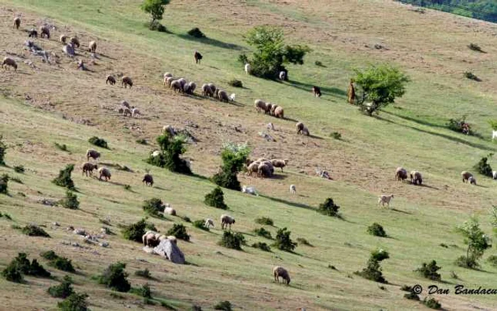 Dobrogea mai puţin ştiută - Balabancea, Tulcea Sursa Facebook Dan Bandacu