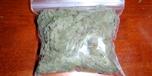 Vlad C. avea tri pliculete cu iarbă în buzunar