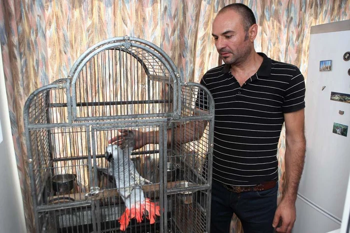 «Papagalul ţipă non-stop»Foto: Sever Gheorghe