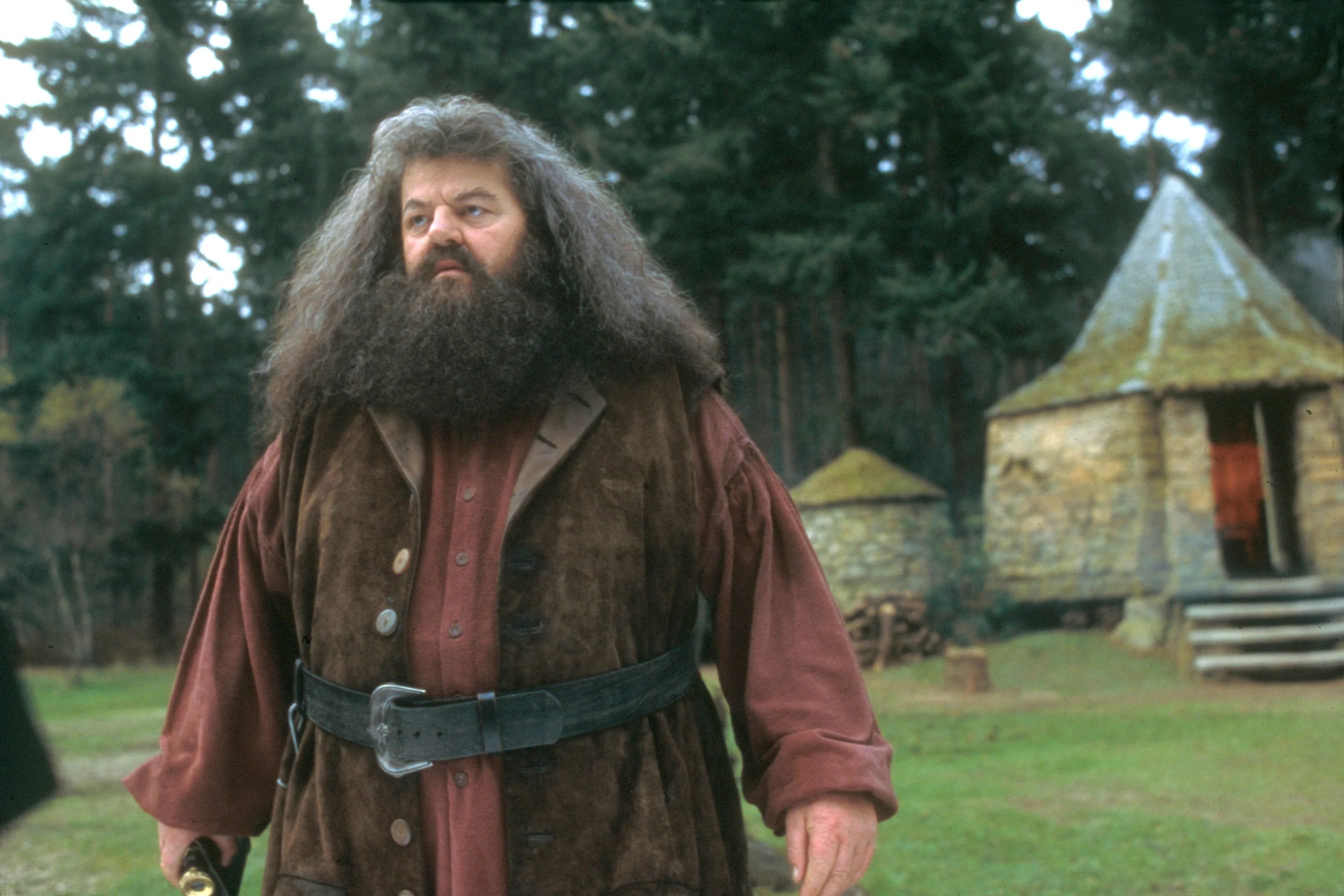 A Murit Robbie Coltrane. Actorul L-a Interpretat Pe Hagrid în Filmele ...