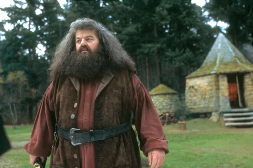 Actorul Robbie Coltrane în rolul Hagrid din Harry Potter FOTO Profimedia(1) jpg