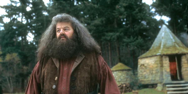 Actorul Robbie Coltrane în rolul Hagrid din Harry Potter FOTO Profimedia(1) jpg