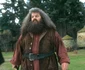 Actorul Robbie Coltrane în rolul Hagrid din Harry Potter FOTO Profimedia(1) jpg