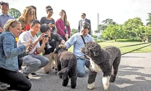 23 peglob 1sfdasf jpeg