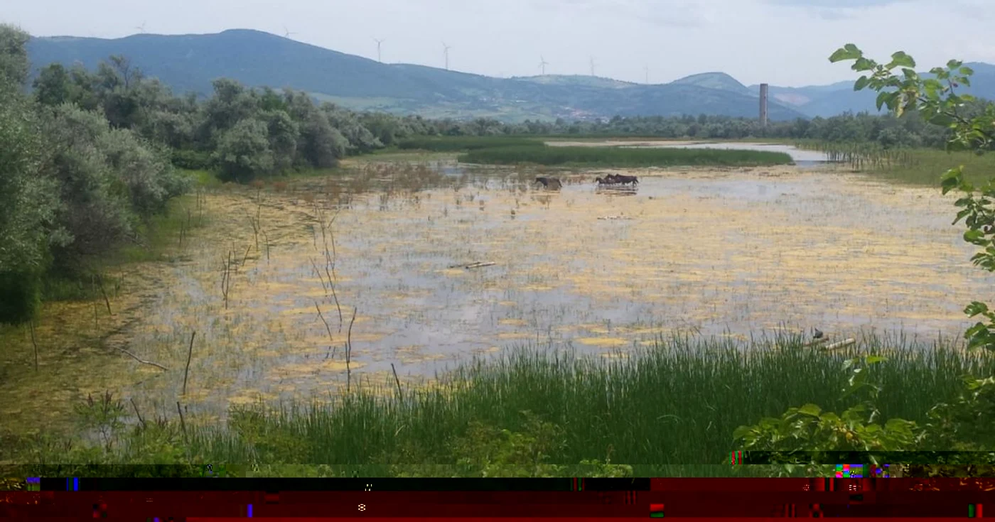 Paradisul de pe Insula Ostrov FOTO Ştefan Both