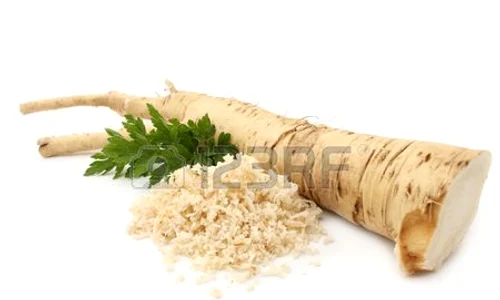 8153352 horseradish jpeg