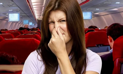 plane jpeg