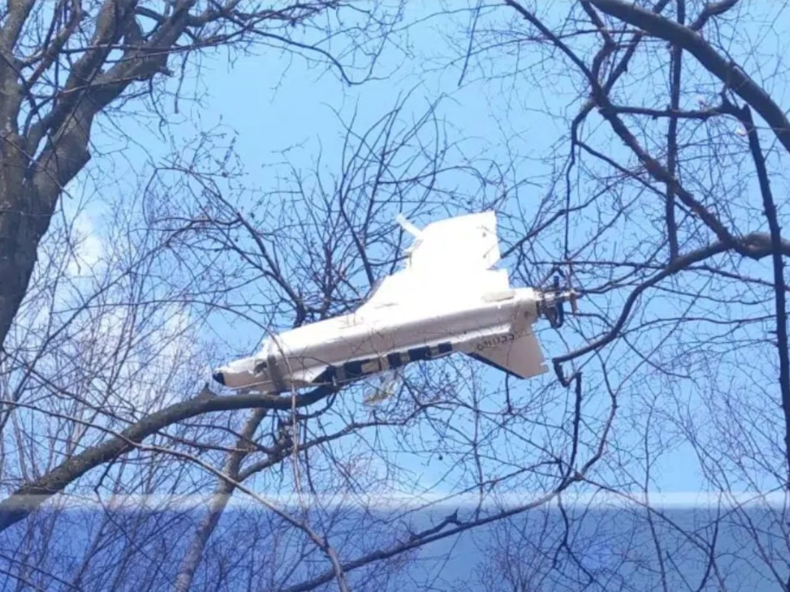 Dronă găsită într-un copac. Un bărbat a alertat autoritățile după ce a căzut pe proprietatea sa