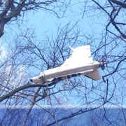 drona cazuta in copac foto ziarul de iasi png