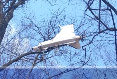 drona cazuta in copac foto ziarul de iasi png