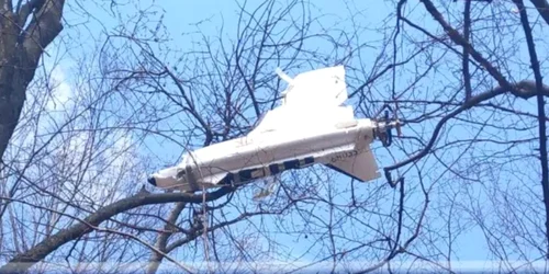 drona cazuta in copac foto ziarul de iasi png