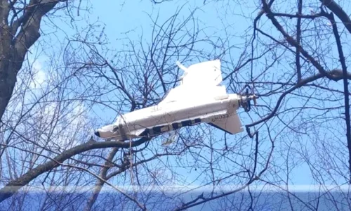 drona cazuta in copac foto ziarul de iasi png