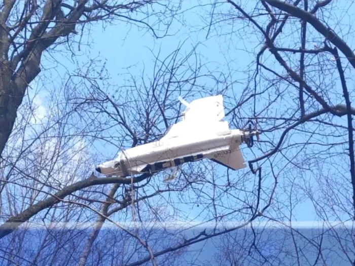 Dona căzută în copac/FOTO: Ziarul de Iași