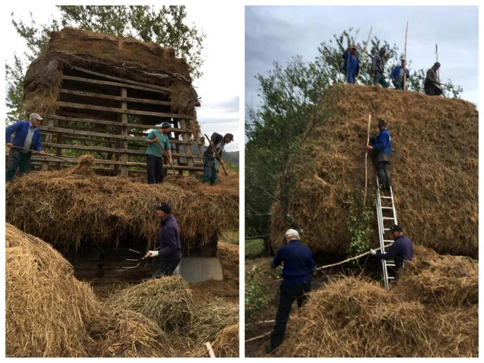 Şură din Mogoş acoperită cu paie. Foto: Facebook/ Viorica Cristea