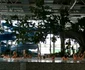 S-a deschis aquaparkul Amazonia FOTO Ștefan Both