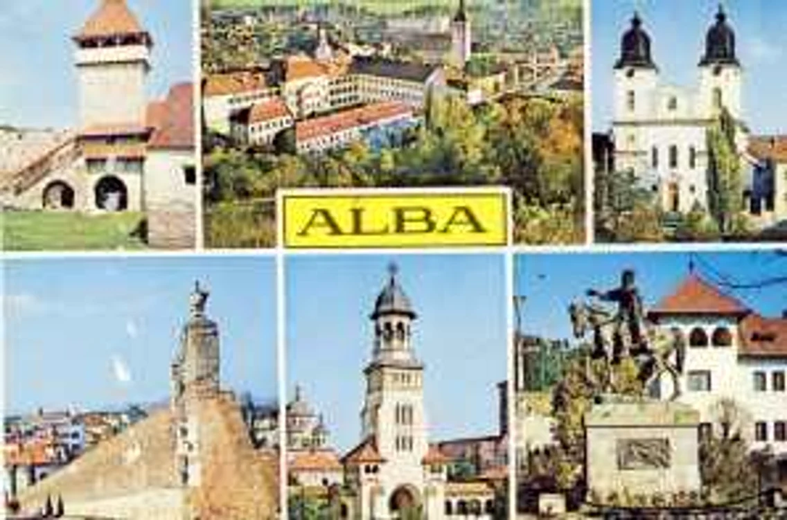 vederi alba
