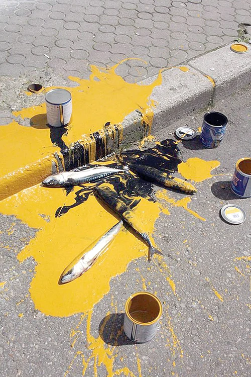 A dat cu vopsea pe  pereţi şi a aruncat  peşti morţi pe trotuar