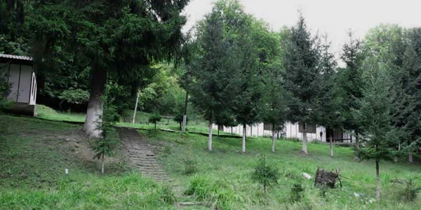 La Puturoasa funcţiona, pe vremuri, şi o tabără şcolară, acum şi ea în paragină. Foto: oas.ro