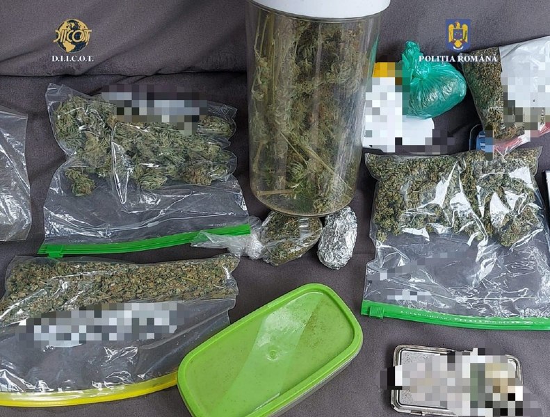 Opt percheziții în județul Prahova la persoane care cultivau şi vindeau canabis