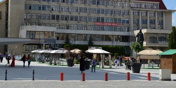 centru civic vaslui